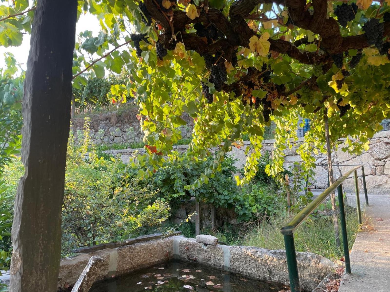 Villa Quintinha De Pinouco Resende Esterno foto